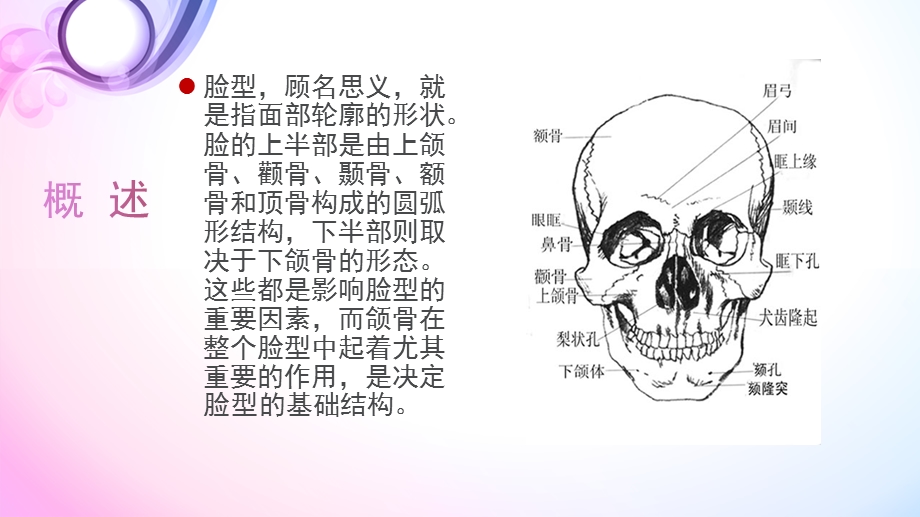 美妆学习化妆理论基本脸型ppt课件.pptx_第2页