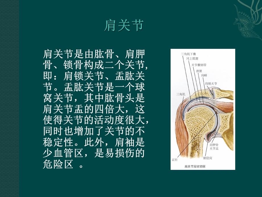 肩关节MRI检查及其常见病表现ppt课件.pptx_第2页