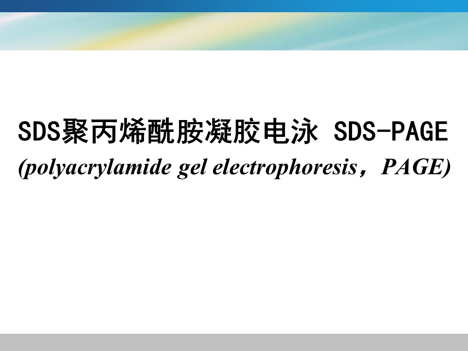 蛋白质电泳技术介绍ppt课件.ppt_第2页