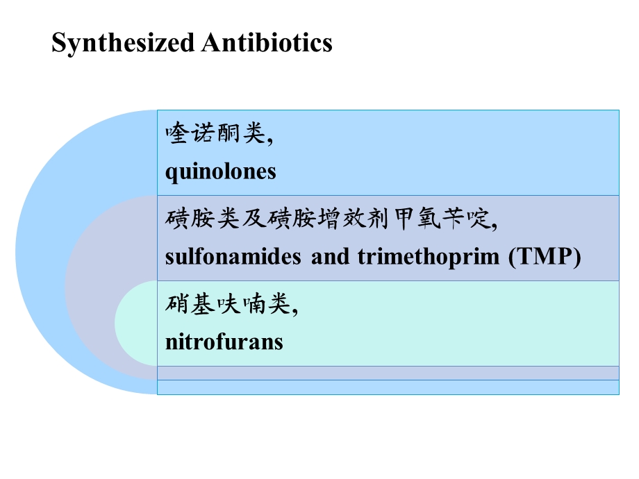 药理学——人工合成抗菌药ppt课件.ppt_第2页