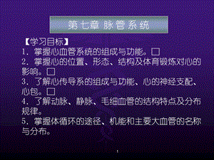 脉管系统ppt课件.ppt