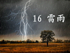 部编版二年级下册语文《16雷雨》ppt优质课件.pptx