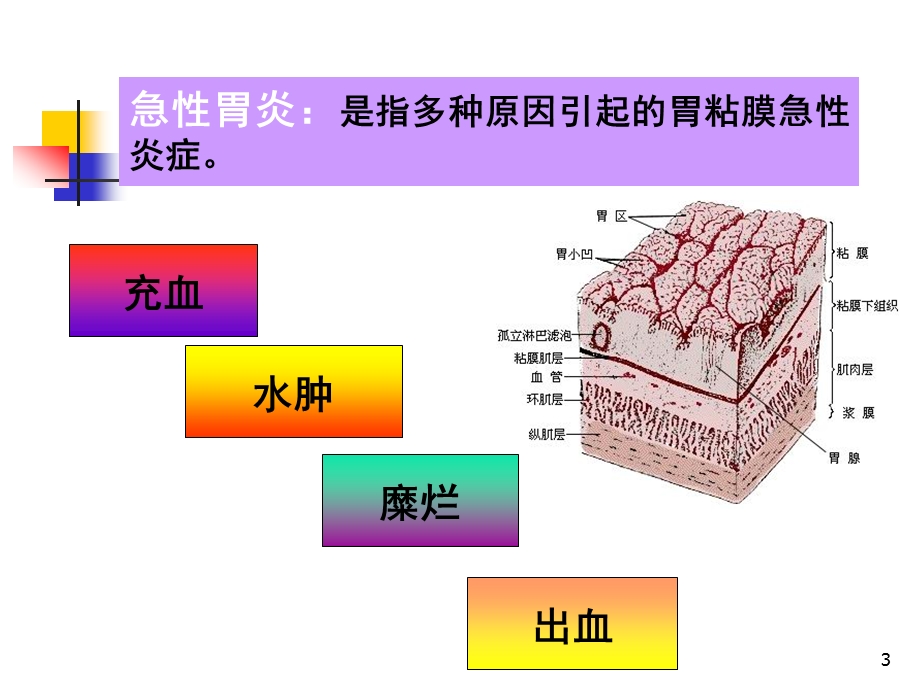 胃炎病人的护理ppt课件.ppt_第3页