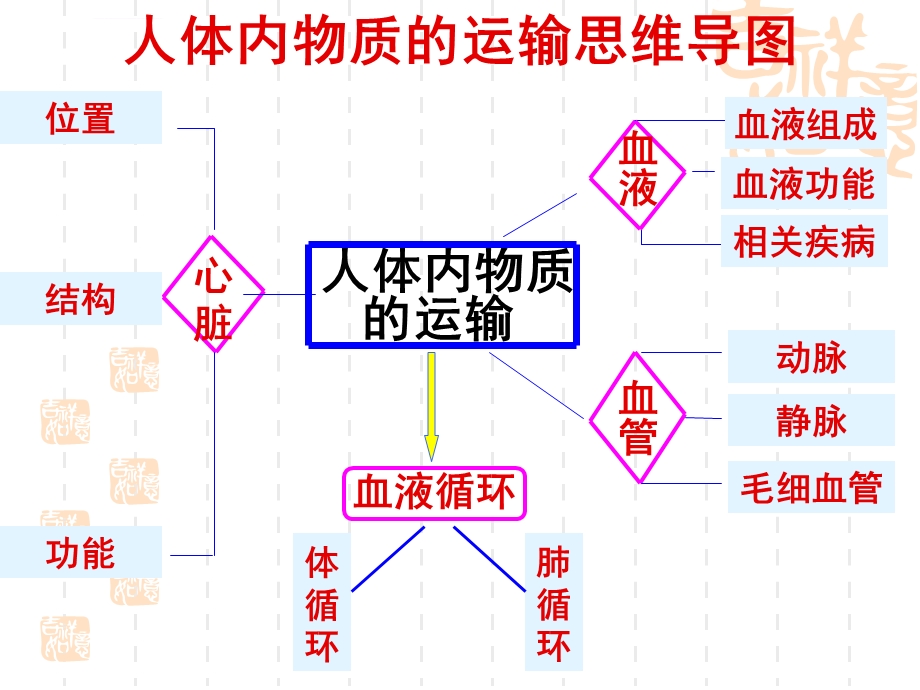 血液循环系统ppt课件.ppt_第1页