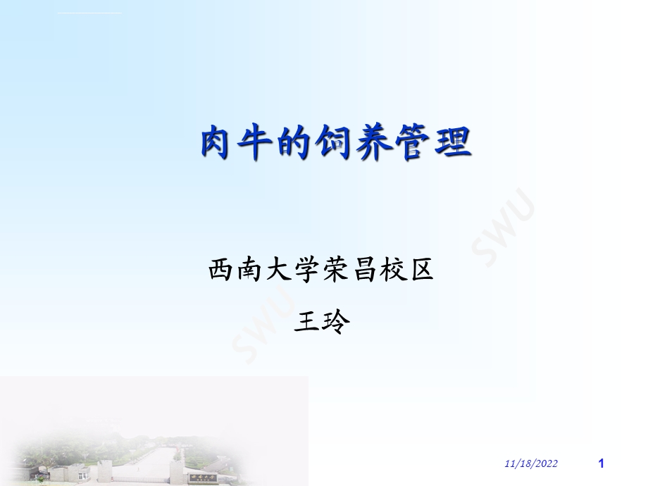 肉牛的饲养管理兽医ppt课件.ppt_第1页