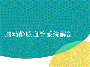 脑动静脉系统详细解剖ppt课件.ppt