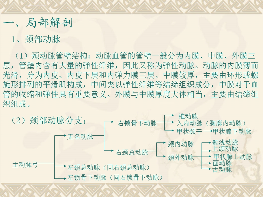 血管超声检查方法ppt课件.ppt_第2页