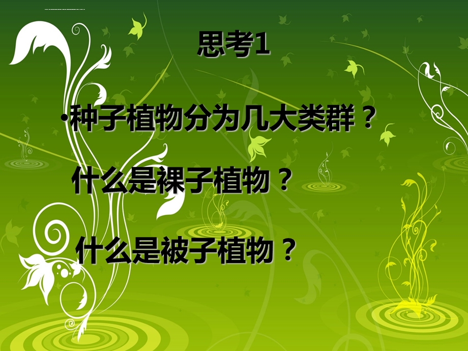 裸子植物与被子植物ppt课件.ppt_第2页