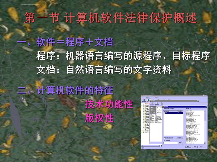 计算机软件和法律保护ppt课件.ppt_第2页