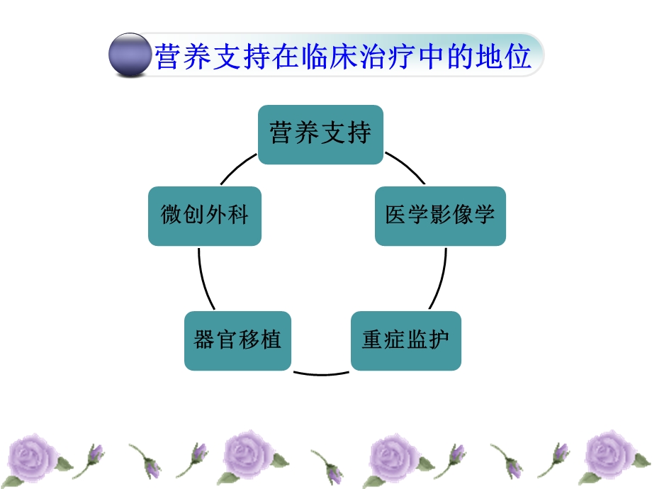 肠内营养治疗与护理ppt课件.ppt_第3页