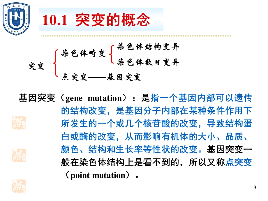 遗传物质的改变基因突变ppt课件.ppt_第3页