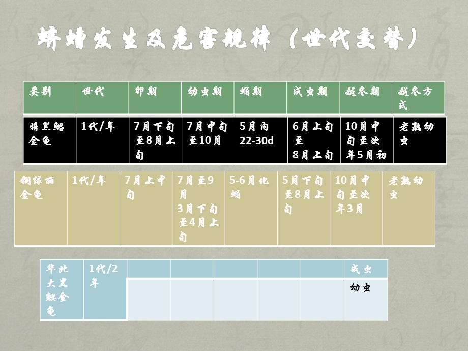 蛴螬生活史ppt课件.pptx_第2页