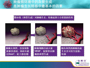 贝伐珠单抗之结直肠癌篇ppt课件.ppt