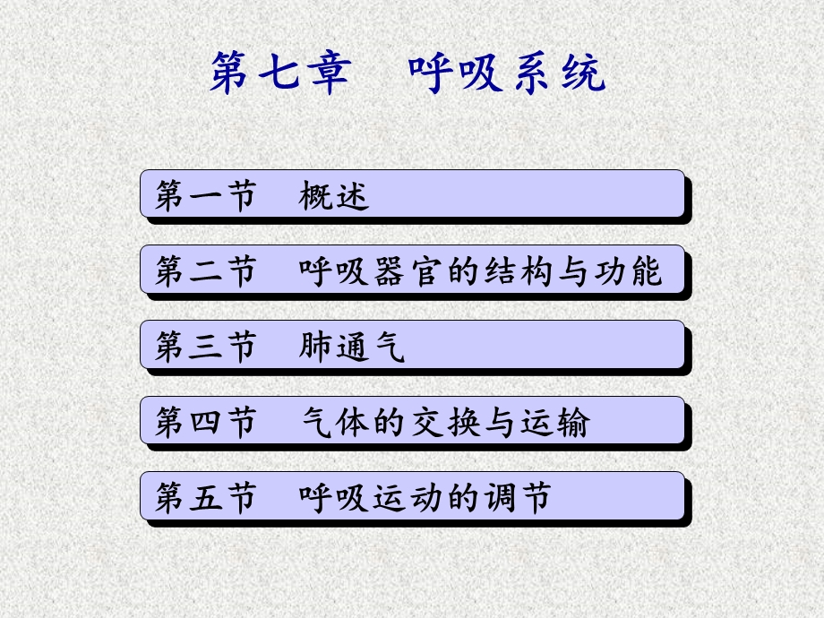 解剖生理学基础第七章呼吸系统ppt课件.ppt_第1页