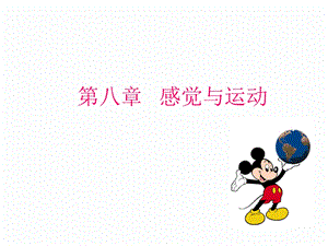 第八章感觉与运动ppt课件.ppt