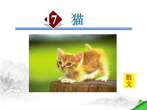 部编人教版七年级语文上册《猫》(完美版)PPT课件.pptx