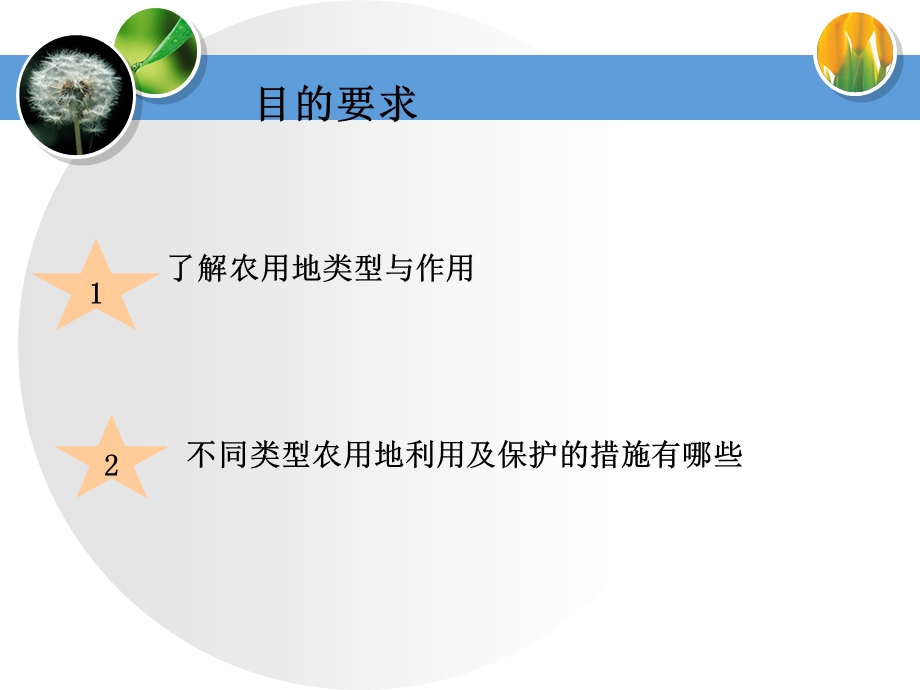 第九章农用地利用与保护ppt课件.ppt_第3页