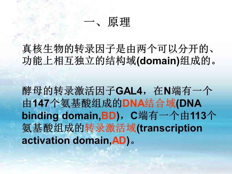 酵母双杂交自激活现象ppt课件.ppt_第2页