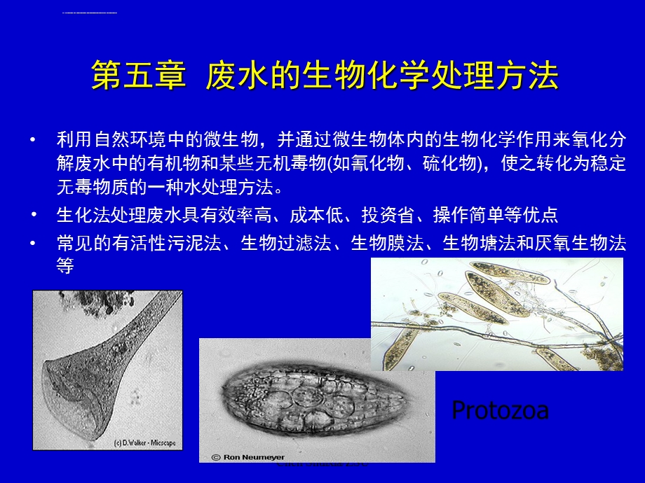 第五章废水的生物化学处理方法ppt课件.ppt_第1页