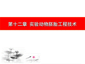 第十二章实验动物胚胎工程技术ppt课件.ppt