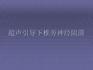 超声引导下椎旁神经阻滞腰丛阻滞ppt课件.ppt