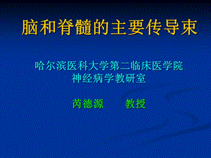 脑和脊髓的主要传导束ppt课件.ppt