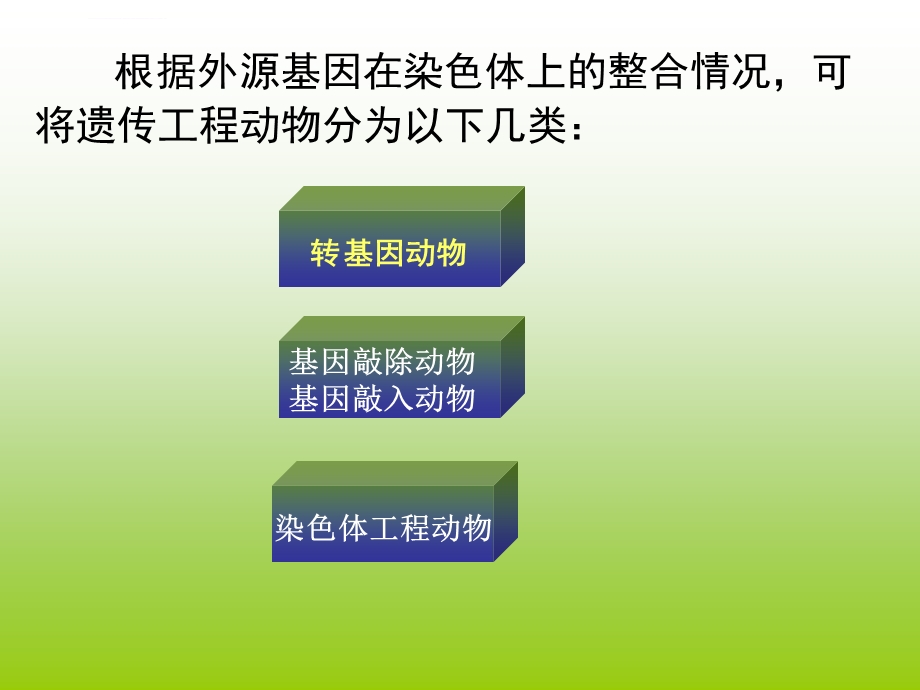 遗传工程动物ppt课件.ppt_第3页