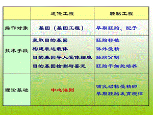 遗传工程动物ppt课件.ppt