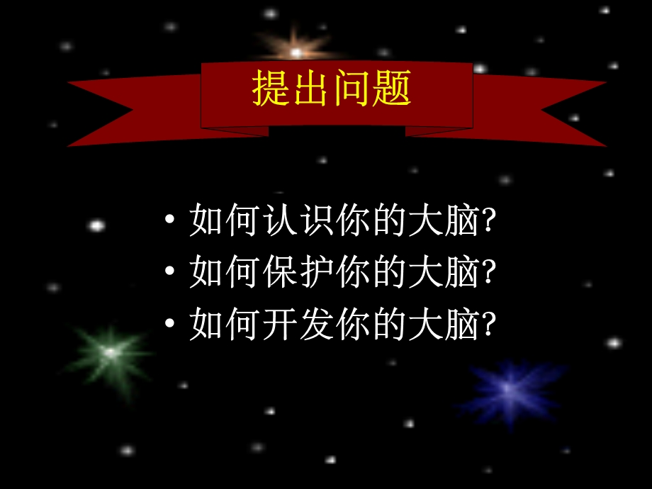 脑科学与教育ppt课件.ppt_第2页