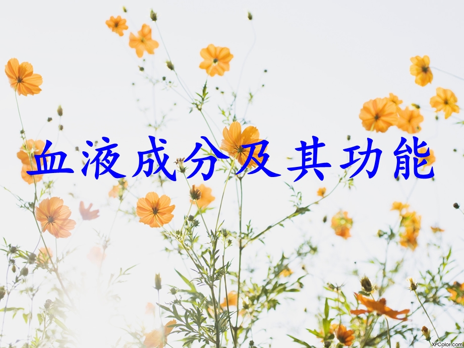 血液成分及其功能ppt课件.ppt_第1页