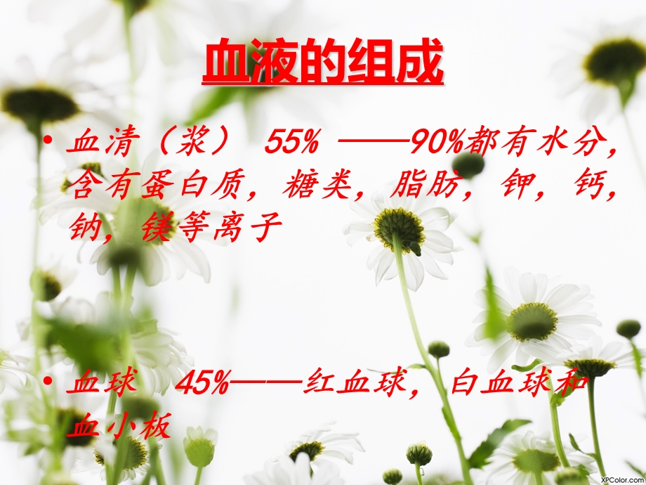 血液成分及其功能ppt课件.ppt_第2页