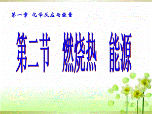 选修41.2燃烧热 能量ppt课件.ppt