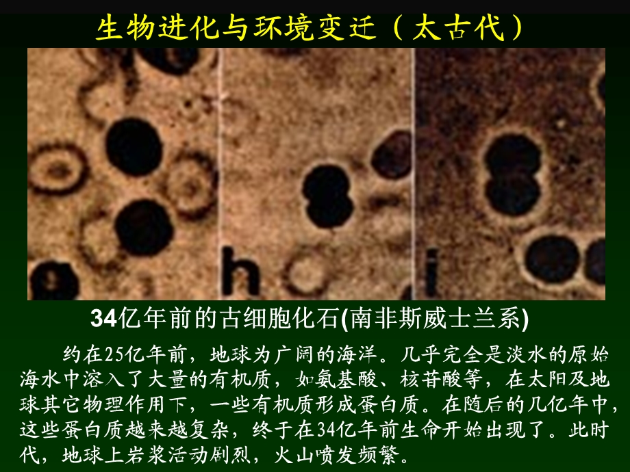 自然地理要素变化和环境变迁ppt课件.ppt_第3页