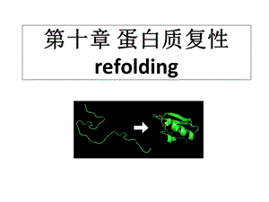 蛋白质复性ppt课件.ppt