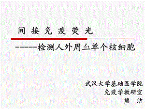 间接免疫荧光检测PBMCppt课件.ppt