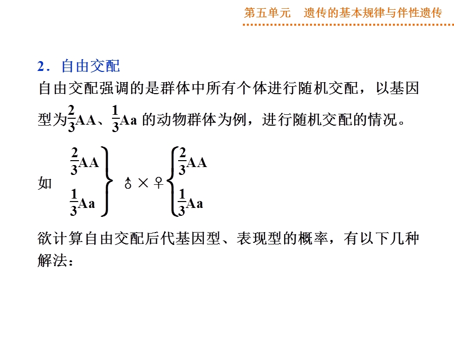 自交与自由交配的问题ppt课件.ppt_第3页