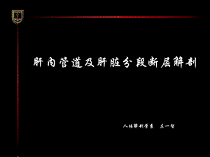 肝内管道及肝脏分段断层解剖ppt课件.ppt