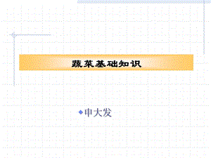 蔬菜基础知识ppt课件.ppt