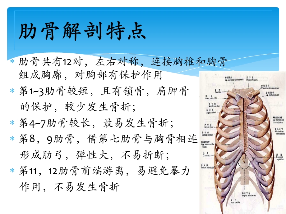 肋骨骨折内固定术ppt课件.pptx_第3页