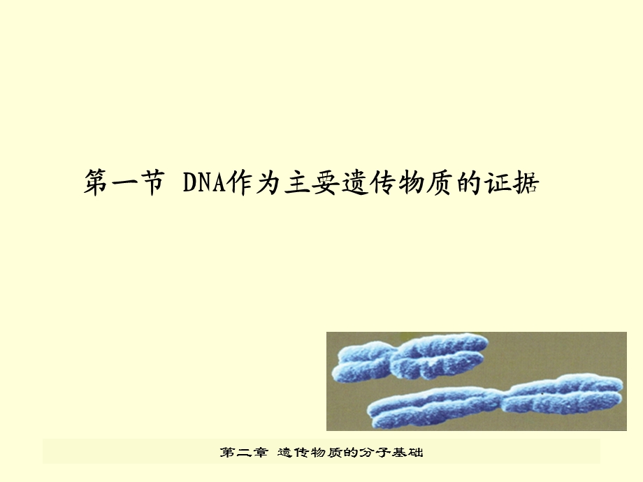 遗传学第三章遗传物质的分子基础ppt课件.ppt_第3页