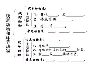 软体动物和节肢动物(新)ppt课件.ppt