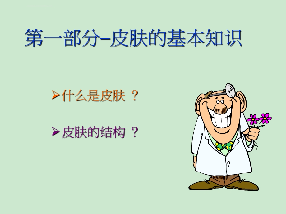 美容护肤基础知识ppt课件.ppt_第3页