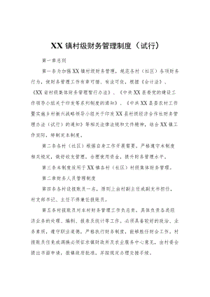 XX镇村级财务管理制度（试行）.docx