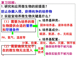 课题2.土壤中分解尿素的细菌的分离和计数ppt课件.ppt