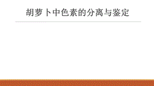 胡萝卜素分离及提取ppt课件.pptx