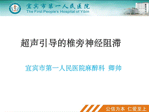 超声引导椎旁神经阻滞ppt课件.ppt