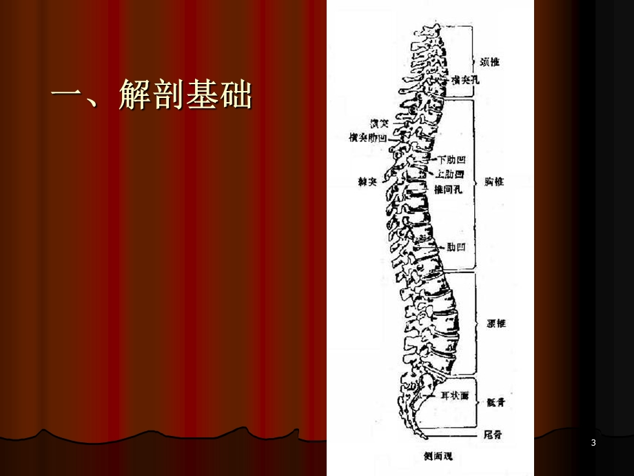 腰腿痛的针灸治疗.ppt课件.ppt_第3页