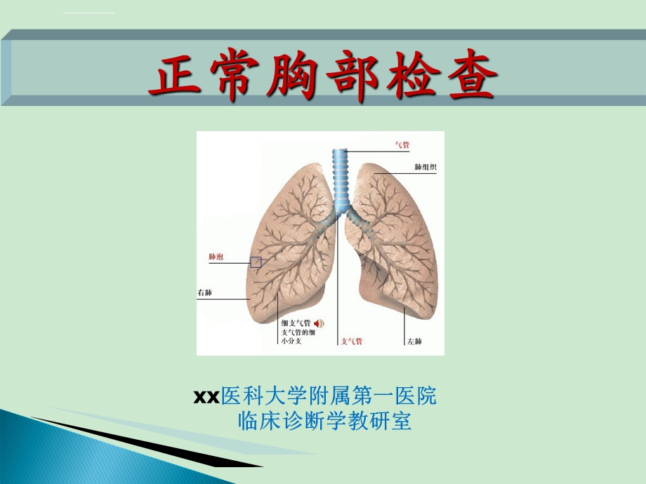 诊断学教学ppt胸部查体课件.ppt_第1页