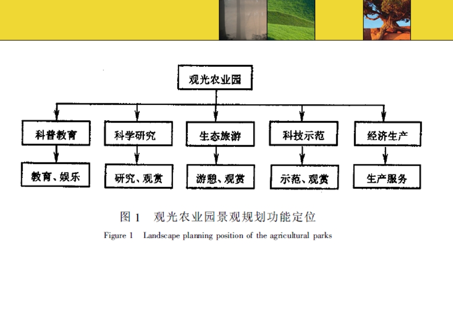 观光农业生态园规划方案ppt课件.ppt_第3页