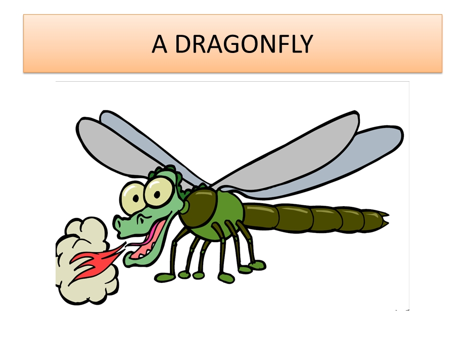 英语基础教程BUGSppt课件.pptx_第3页